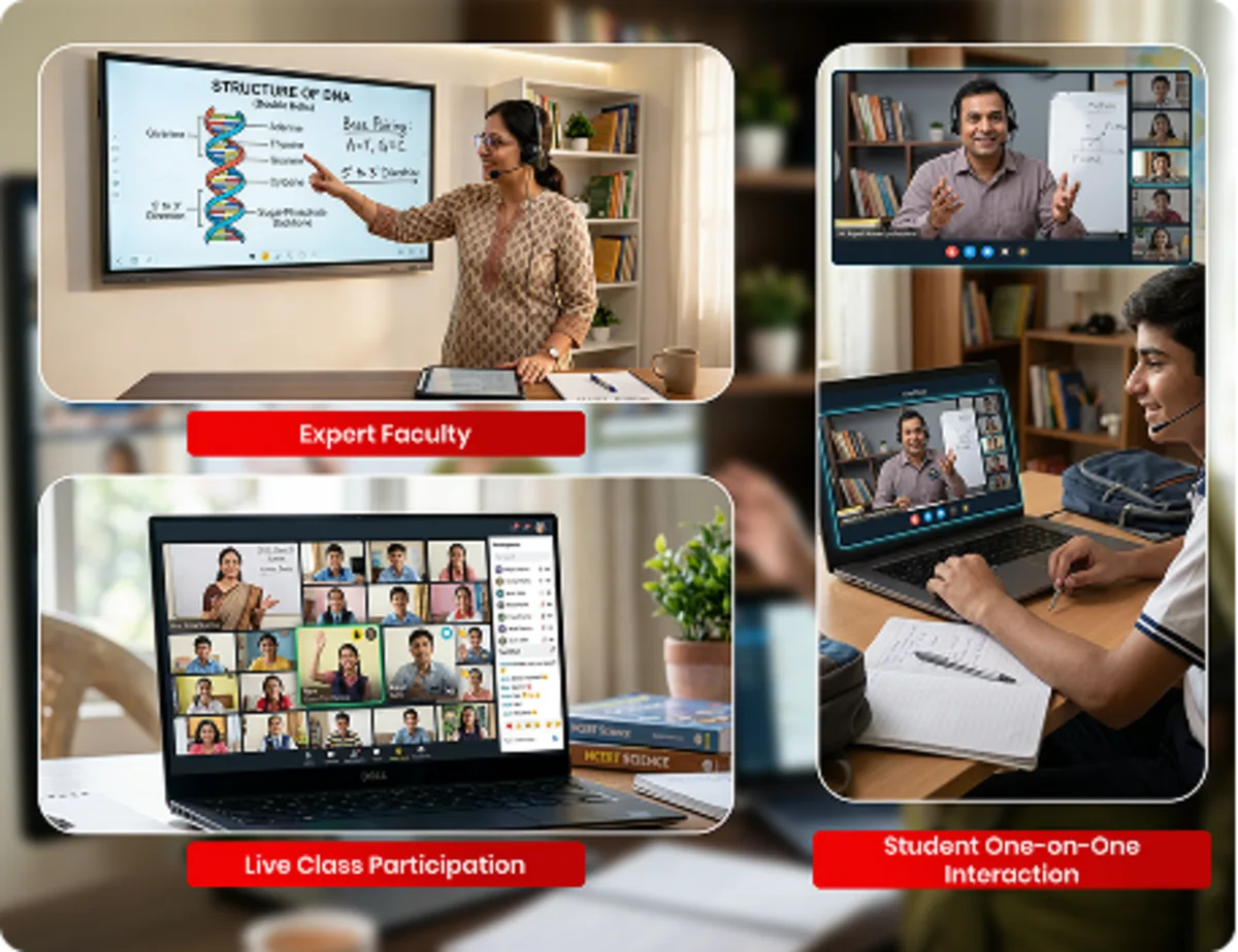 Expert faculty teach concepts in detail and provide personalized support through live sessions